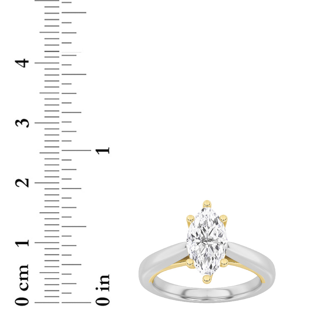 Lab Grown Diamond Two Tone Cathedral Shank Engagement Ring